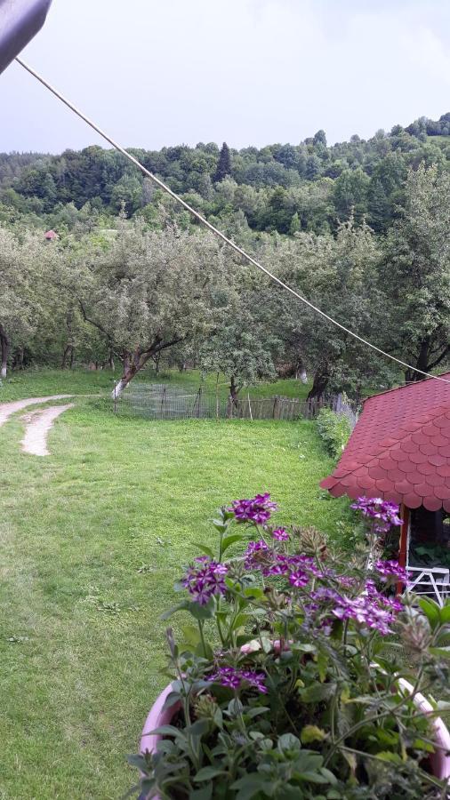 Casa Mariana - Comuna Arefu, Transfagarasan Căpăţîneni-Ungureni 외부 사진