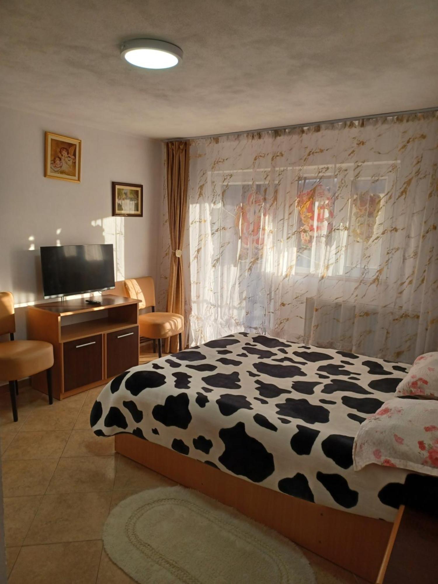 Casa Mariana - Comuna Arefu, Transfagarasan Căpăţîneni-Ungureni 외부 사진