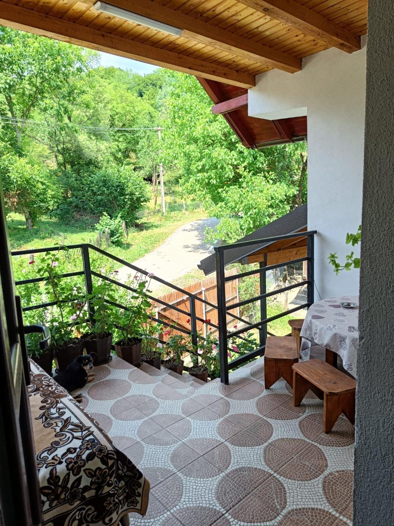 Casa Mariana - Comuna Arefu, Transfagarasan Căpăţîneni-Ungureni 외부 사진