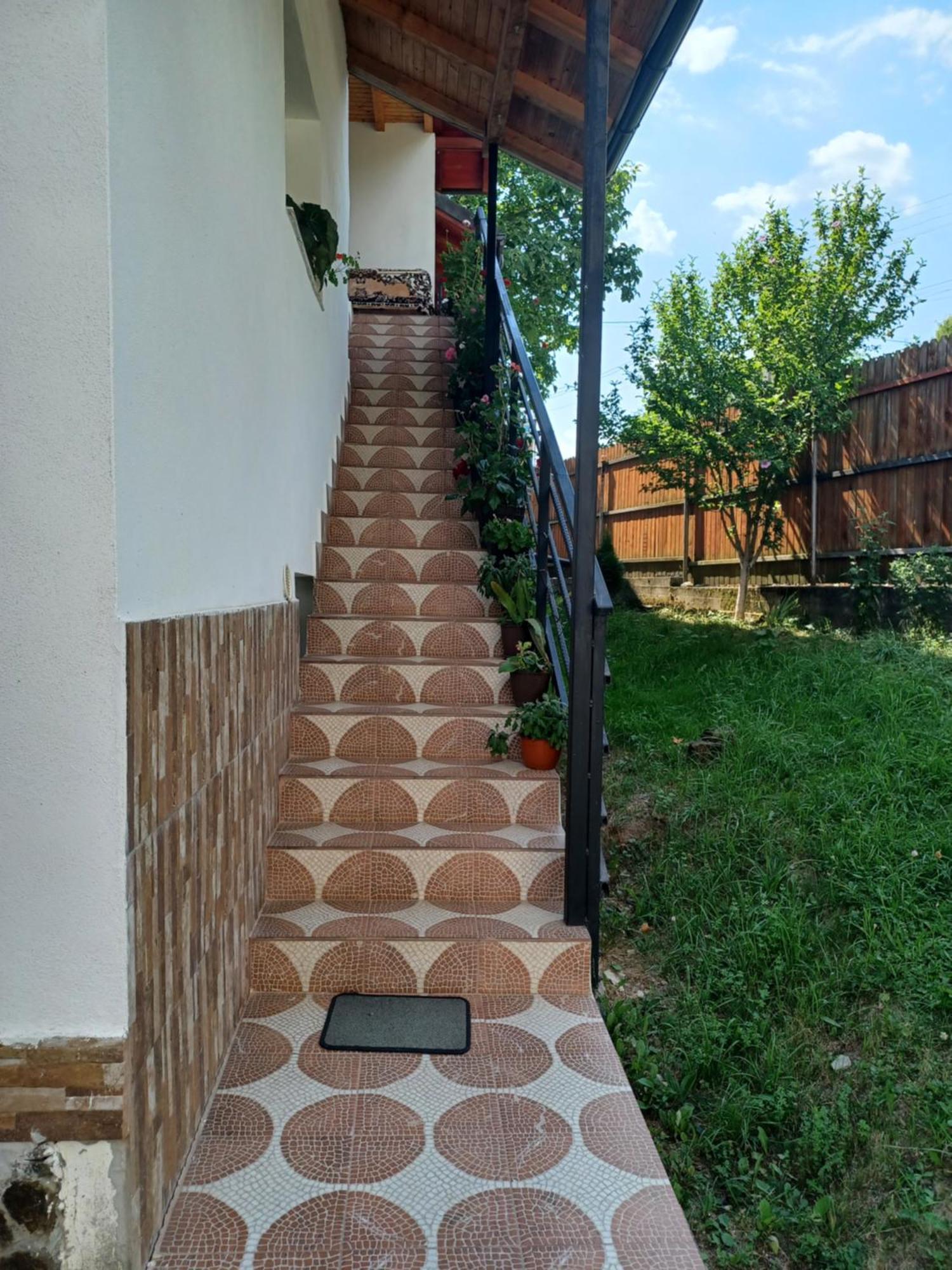 Casa Mariana - Comuna Arefu, Transfagarasan Căpăţîneni-Ungureni 외부 사진